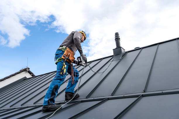 Best Roof Leak Repair  in Assumption, IL